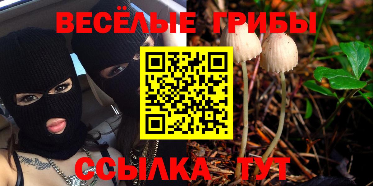 Псилоцибиновые грибы Psilocybine cubensis Кузнецк