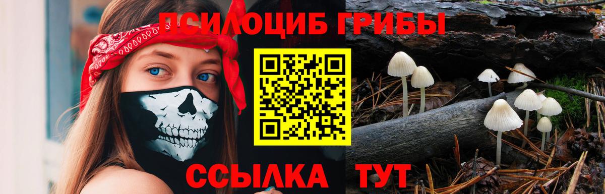 Кузнецк  Псилоцибиновые грибы мухоморы  Вход с VPN 